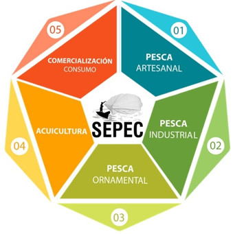 Componentes del SEPEC